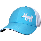 Trucker Hat 6-Panel | Teal Baxter-Headsweats